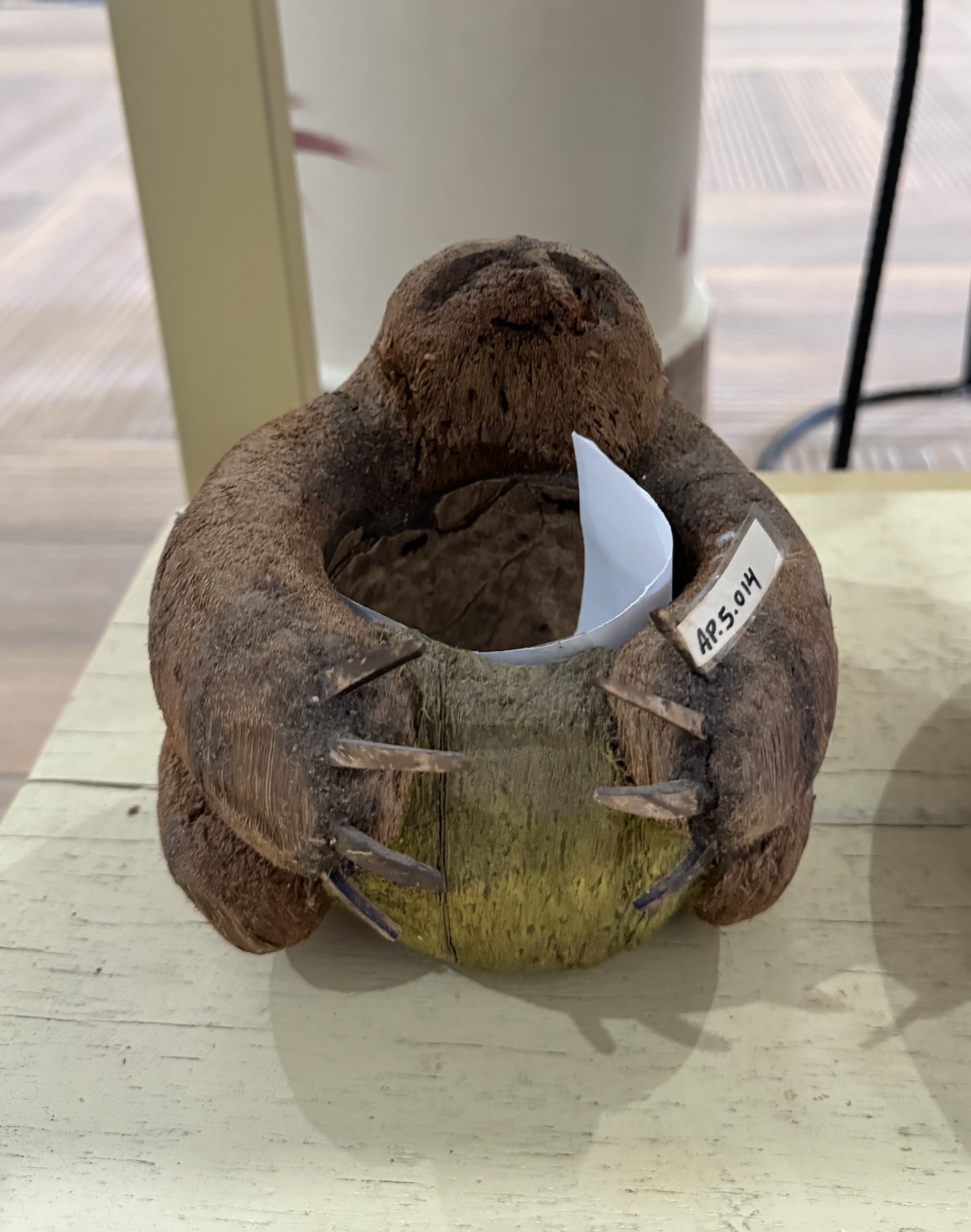 Preguiça feita de coco